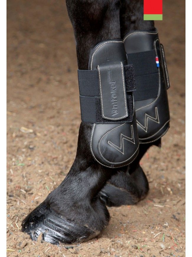 pony tendon and fetlock boots
